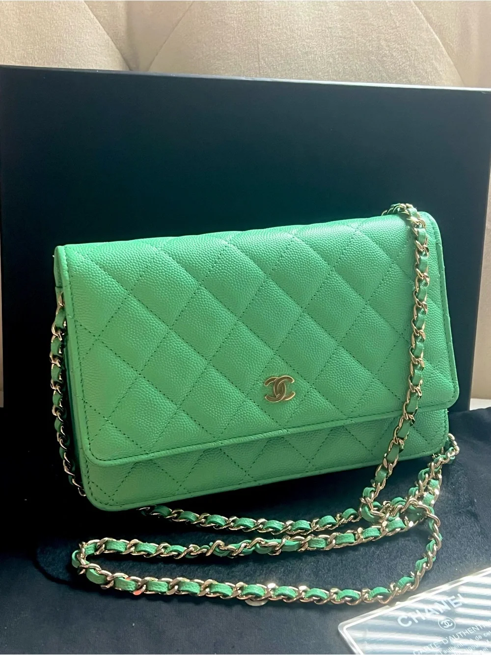 💚💚Chanel Caviar Green WOC Wallet On Chain